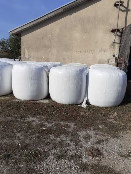 Sprzedam kiszonkę kukurydzy w belach.