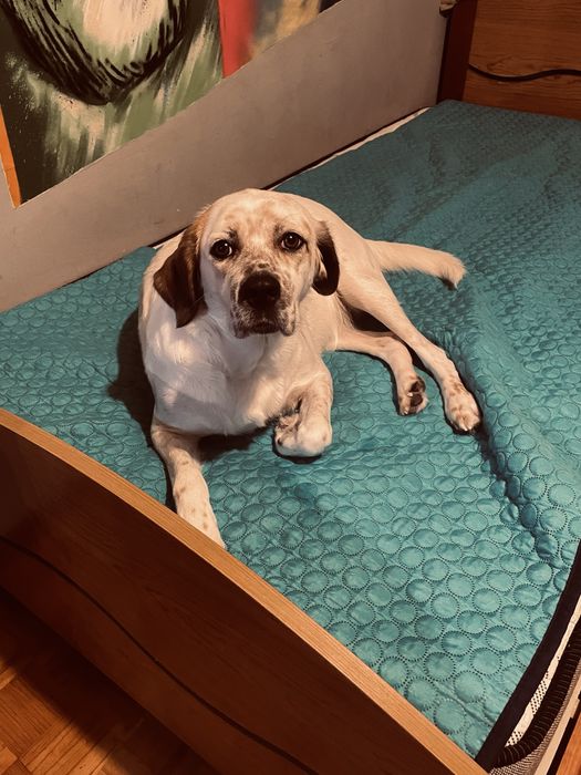 Mae & filho (URGENTE)