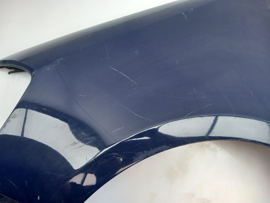 Guarda-lamas esquerdo RENAULT Clio III (BR0/1, CR0/1)