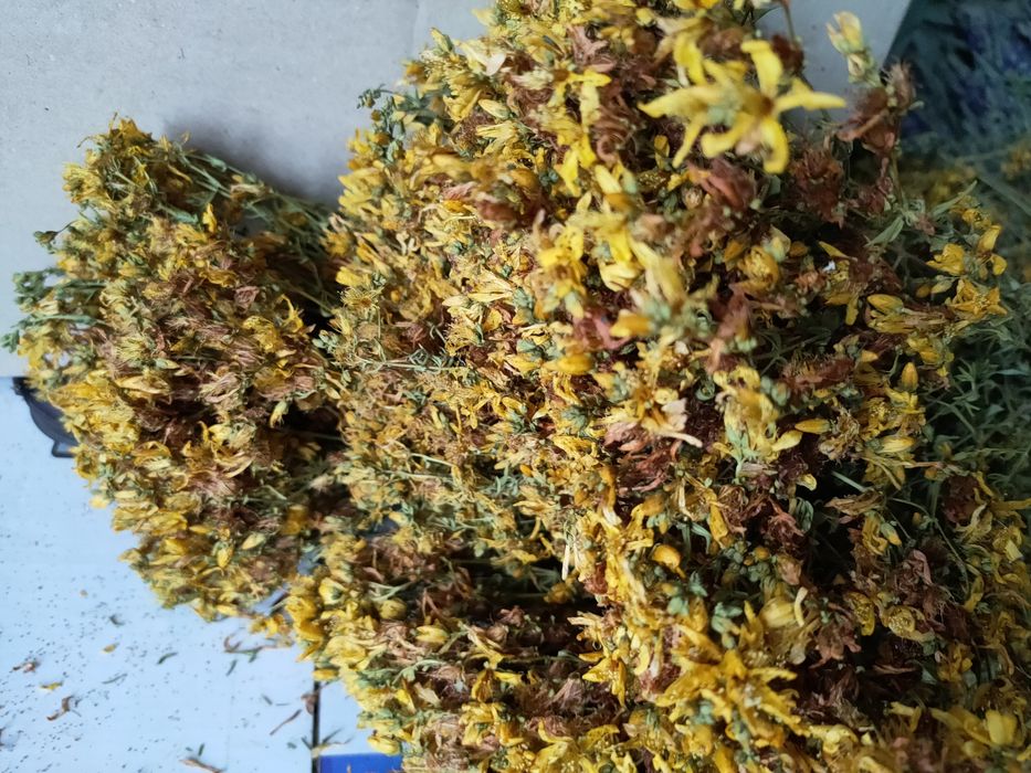 Травы на чай липа,зверобой,душица.