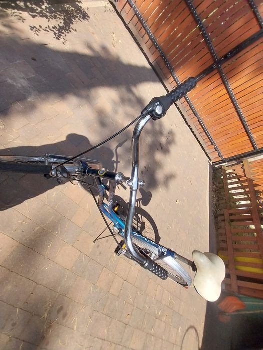 Rower damka Bike Sport Lux