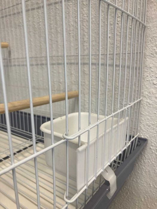 NOVO - Gaiola para Rola, gaiola de melro