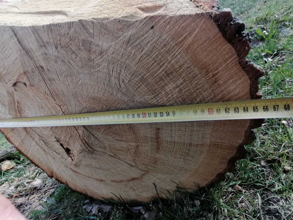 Sprzedam kłode dębową