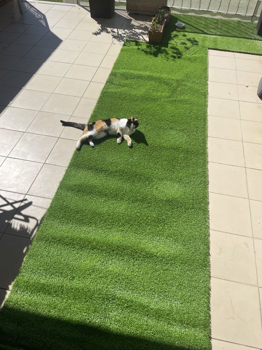 Rolo de Relva artificial leroy merlin "santorini"