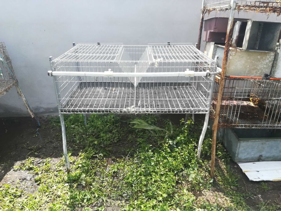 Coelheiras usadas como novas