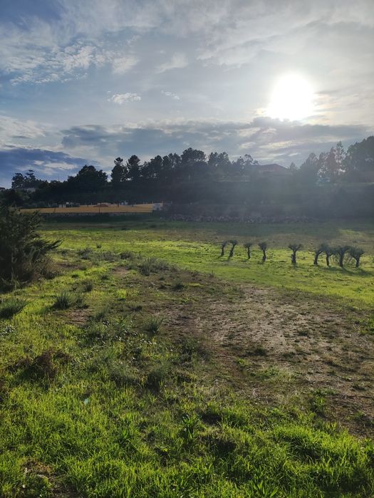 Arrenda-se Terreno Agrícola em Lustosa, Lousada – 22.000 m²