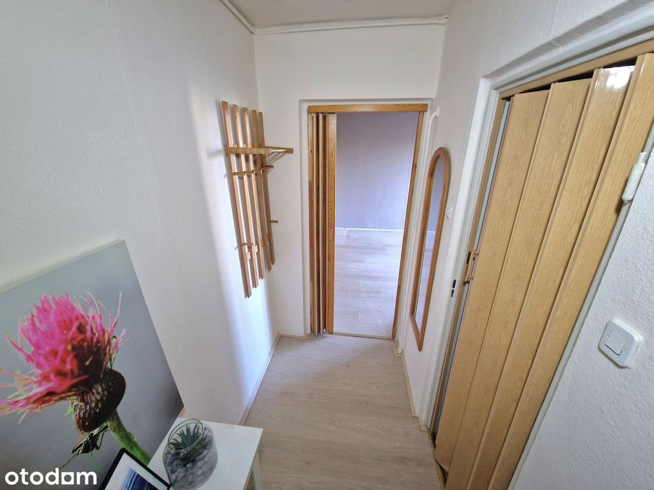 Mieszkanie kawalerka na sprzedaż 27 m² przy parku | Widzew, Zarzew