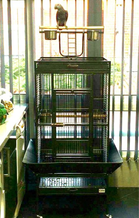 Gaiola Parque - Papagaio 61 x 56 x 156 cm