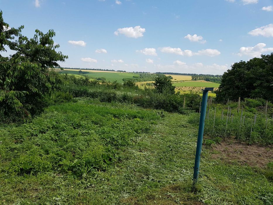 Будинок із земельною ділянкою в с. Олексіївка, Жмеринський район