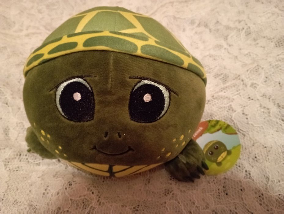 Gang Swojaków Żółw Zenek