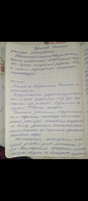 Пишу конспекти і реферати від руки, друкую на комп'ютері