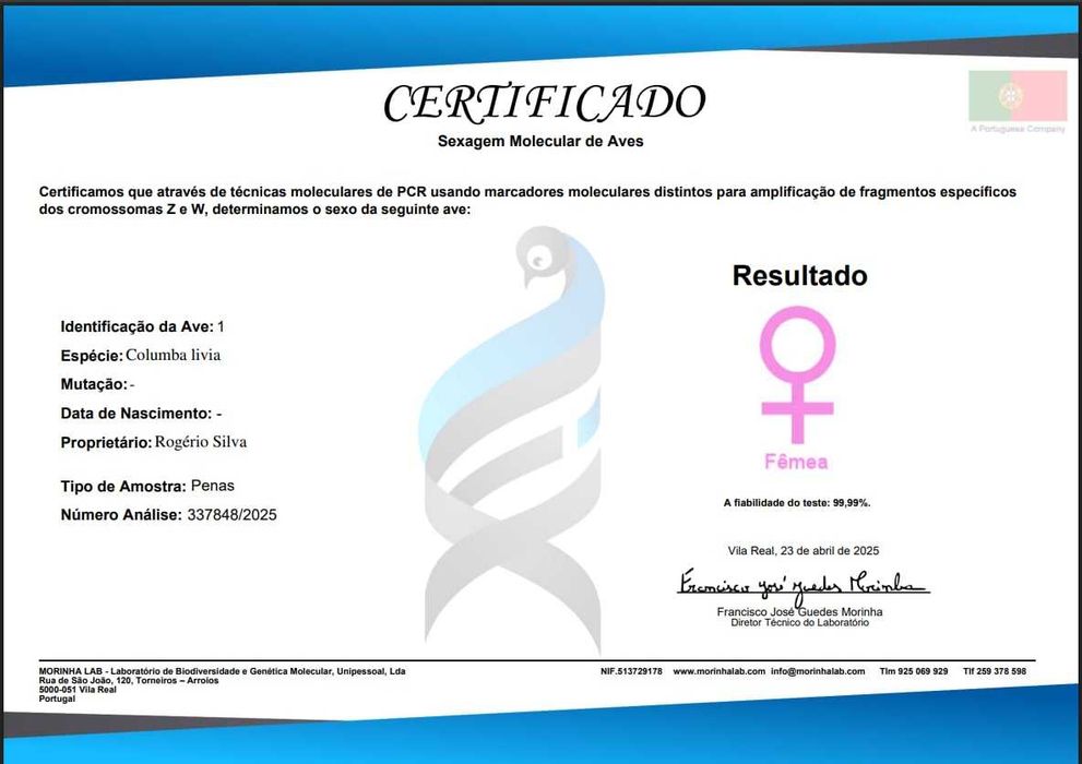 Pombos picas  sexados
