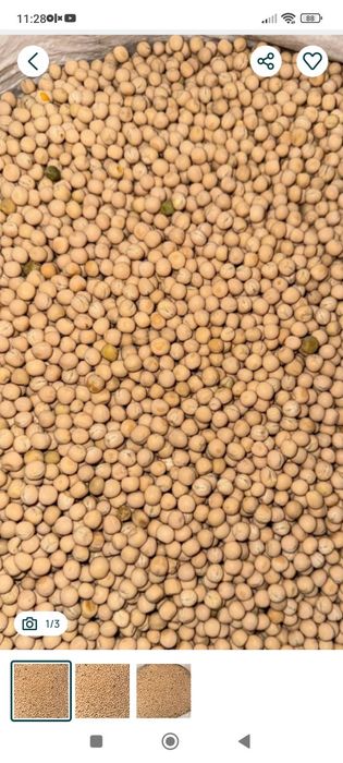 Продам цьогорічний урожай  жовтого гороху