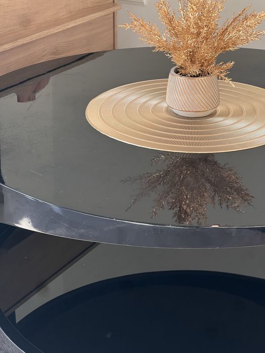 Glass Fiber Coffee Table64730301734531123