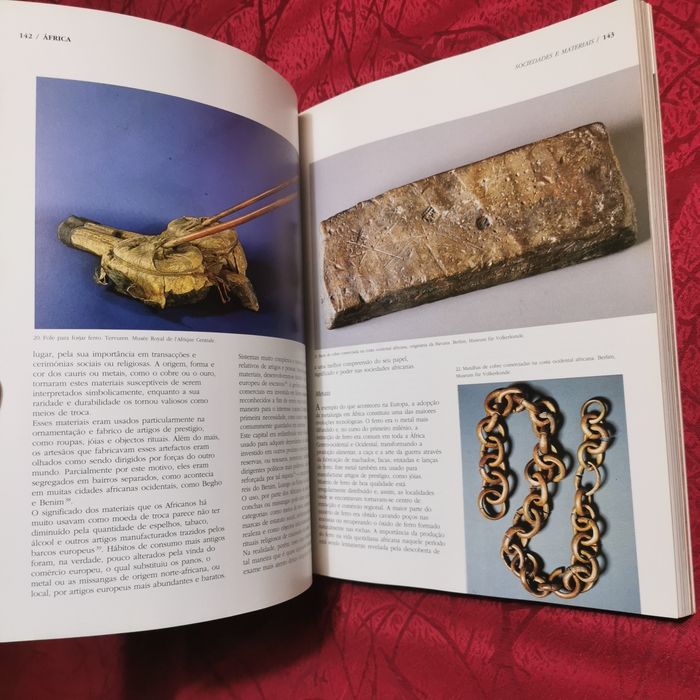 Livro áfrica nas vésperas do mundo moderno