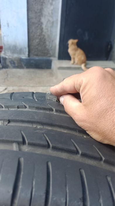 Продам шины Triangle sportex