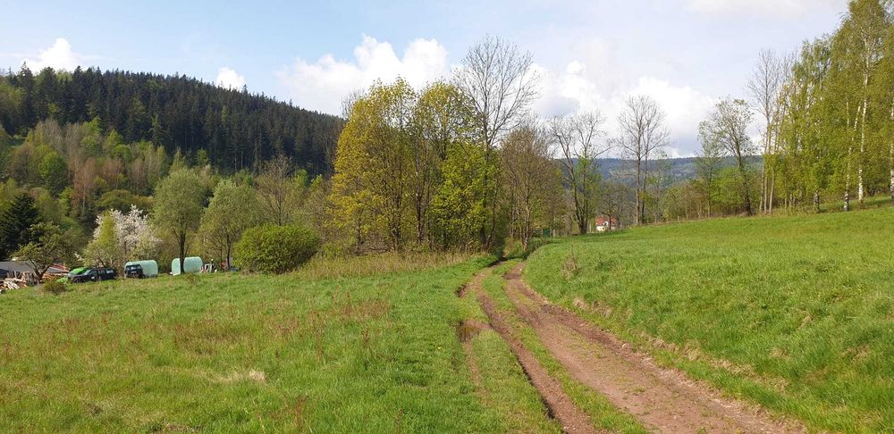 Atrakcyjna działka Jarkowice 0,2909Ha.Faktura VAT