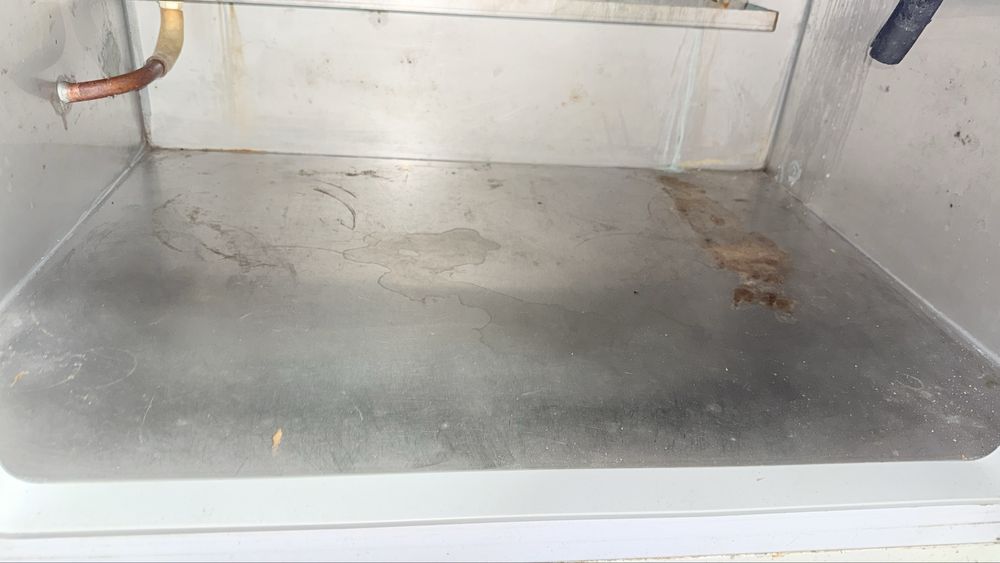 Viteine peixe ou carne