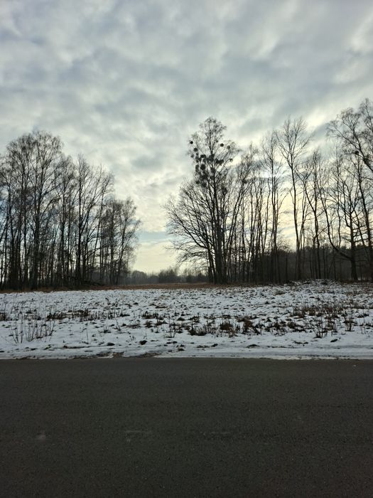 Działka budowlana w Ożarowicach ul. Zawodą