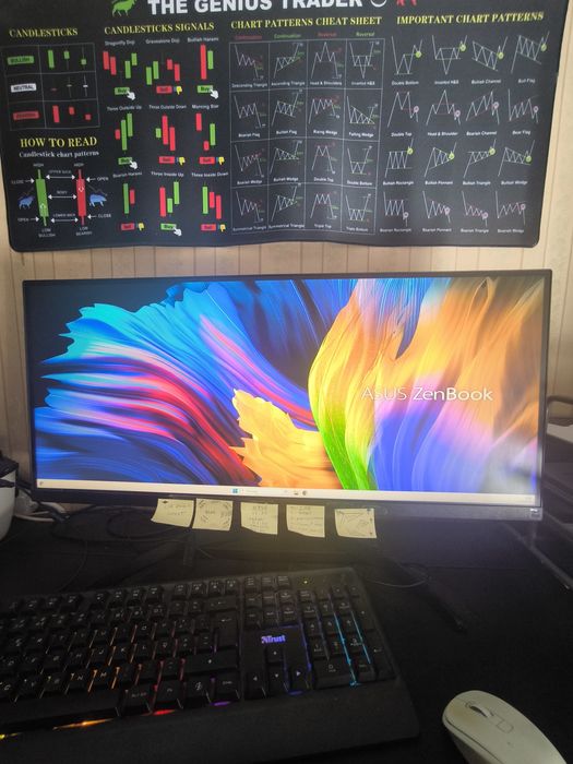 Asus ZenBook 14 + Monitor LG Ultrawide 29 (120€)