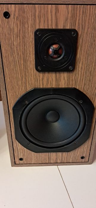 Tonsil ZG40+ po pełnej regeneracji i modyfikacji. Vintage Audio POLECA