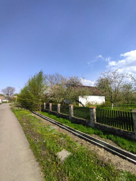 Будинок з земельною ділянкою