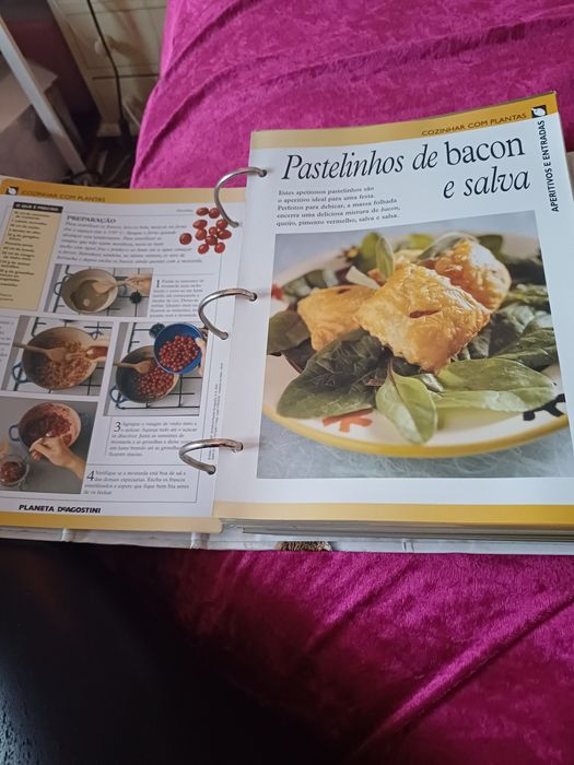 Enciclopédia Os Segredos  das Plantas