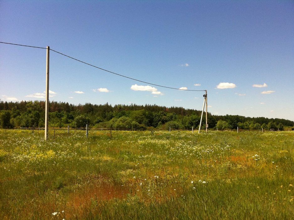 10 соток біля Дніпра та лісу з видом на Тарасову гору — 1500$