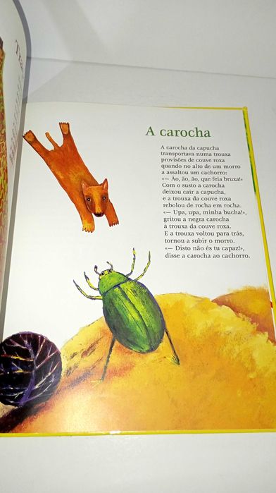 Fala Bicho - Violeta Figueiredo