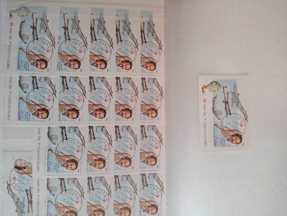 Selos do marido, blocos