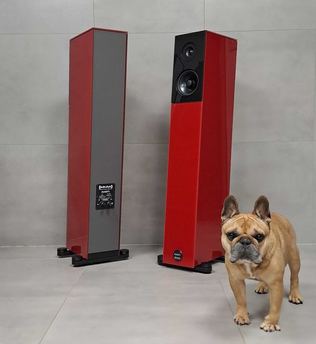 Unikatowe Suesskind Audio Progress - możliwa zamiana WROCŁAW