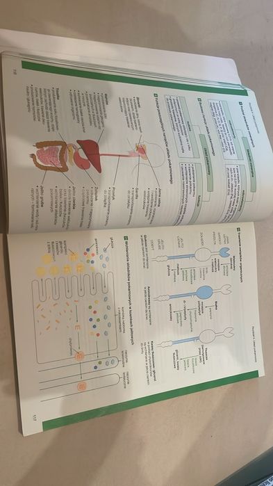 Biologia na czasie 2, podręcznik i karty pracy