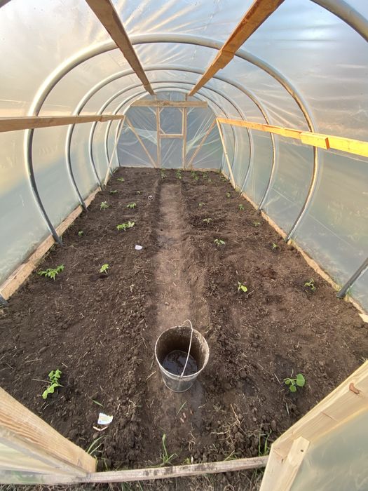 Продається дачна земельна ділянка