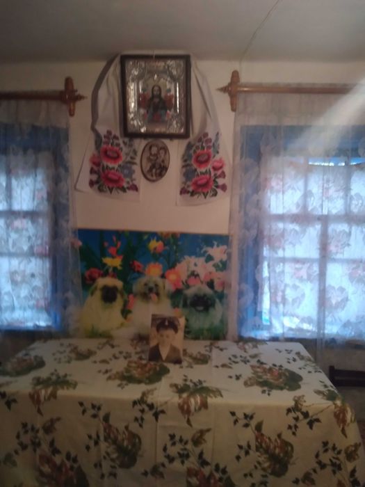 Продам будинок Уланів ( село Рибчинці )