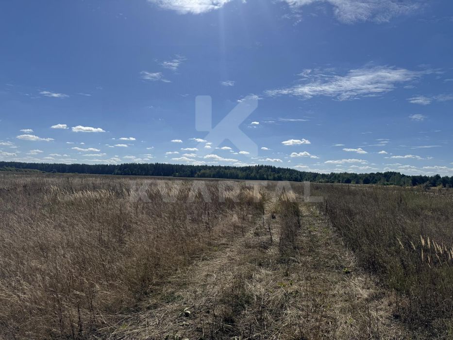 Земельна ділянка в с. Дружня, 15 соток. Вигідна пропозиція