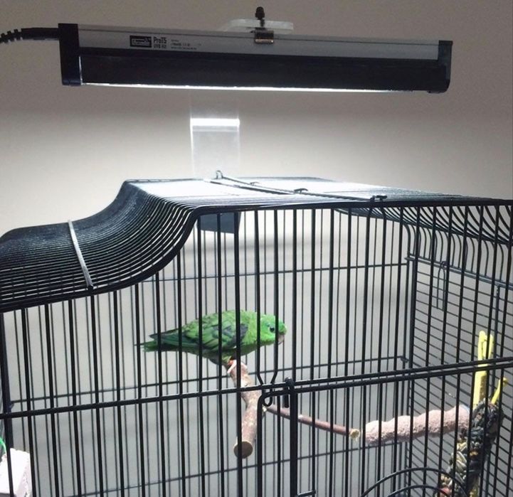 Комплект освітлення для птахів Аrсаdіа minikit