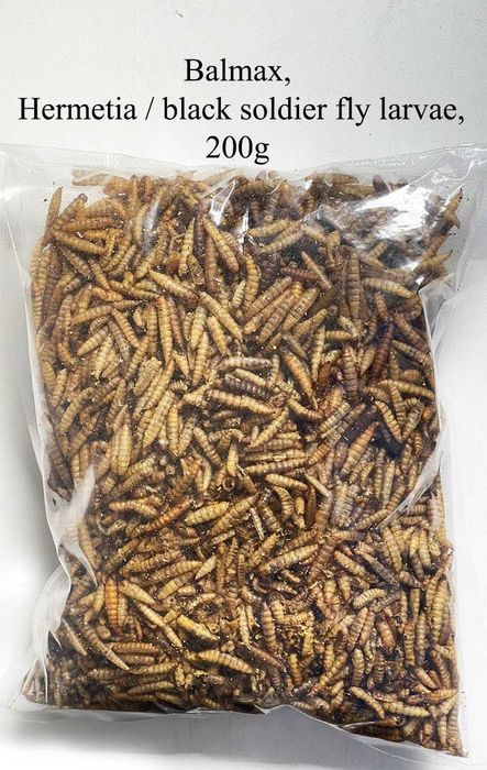 Balmax, Suszone larwy Hermetii / dried larvae Hermetia / 500g.