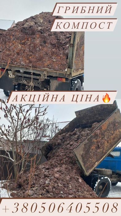 Грибний компост,перегній