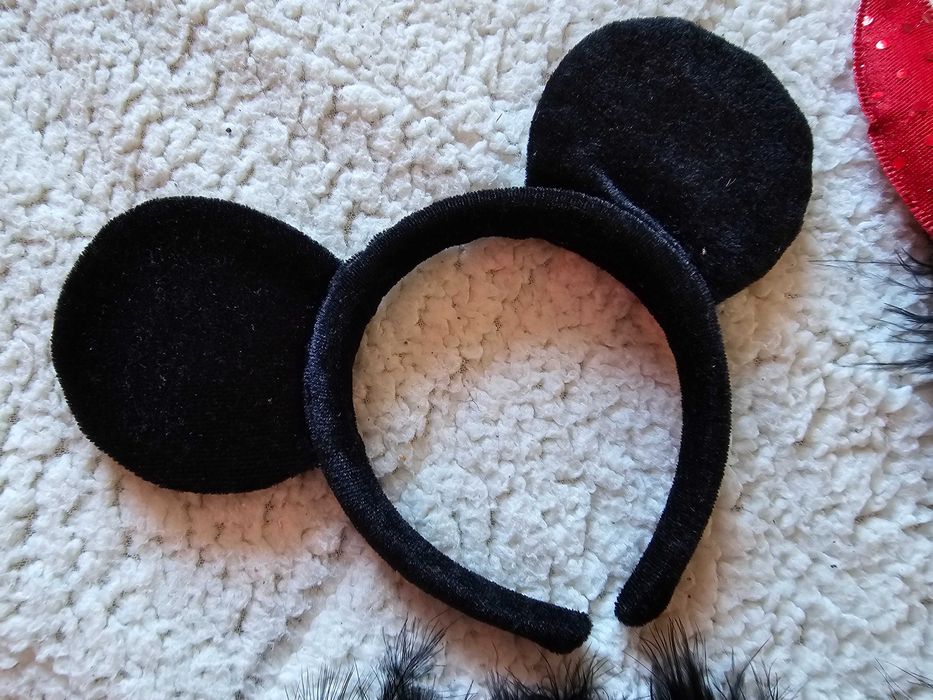 Varios acessórios de Carnaval