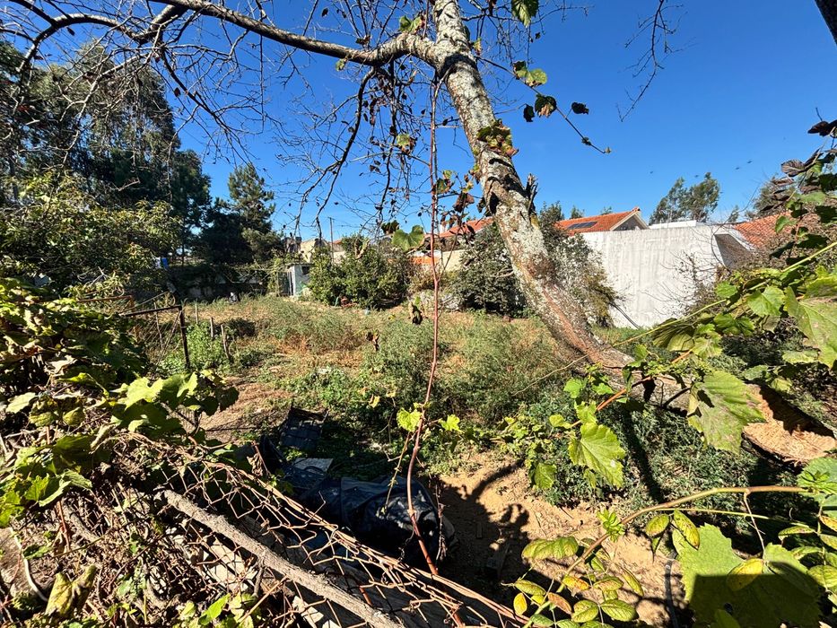 Terreno em Santa Joana, Aveiro