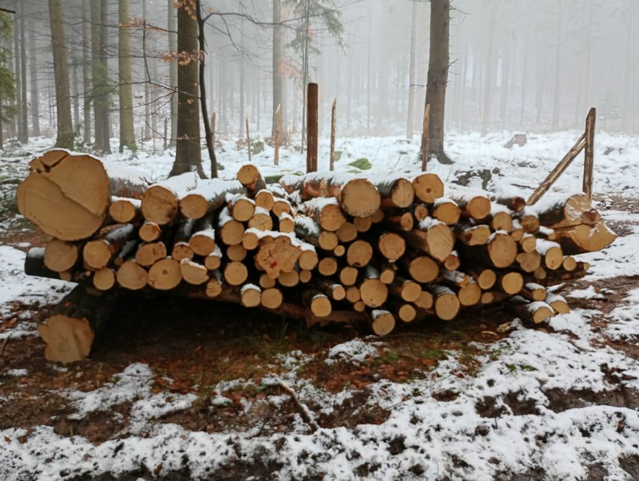drewno opałowe twarde buk brzoza transport GRATIS