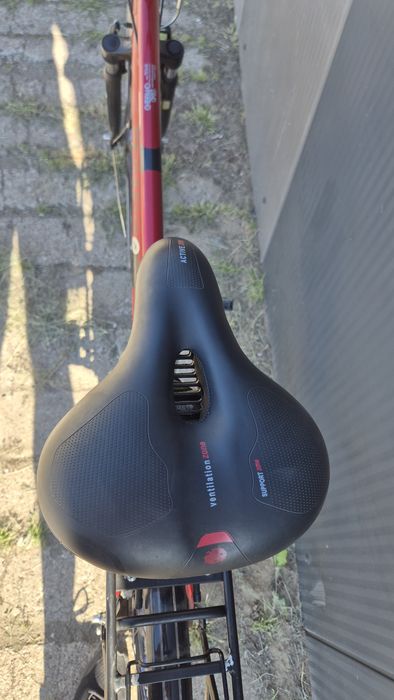 Pegasus Solero 28"