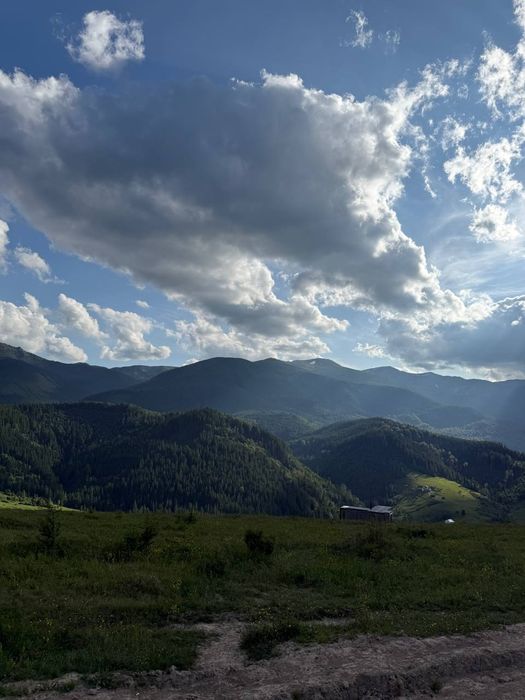 Рівна ділянка, під будову. Межує з лісом. 40 соток в Дземброні