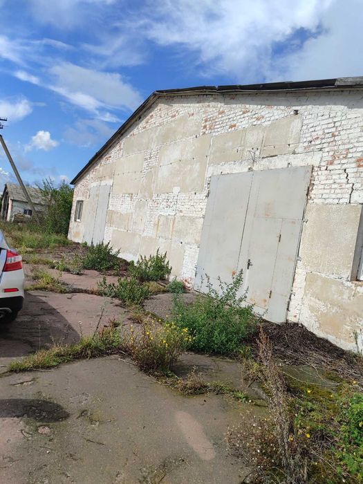Продам виробничо-складськi примiщення в с.Рябцi бiля м.Чернiгiв