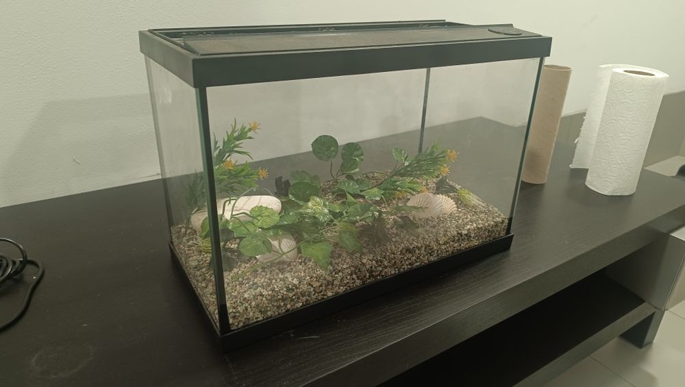 Terrário/aquário