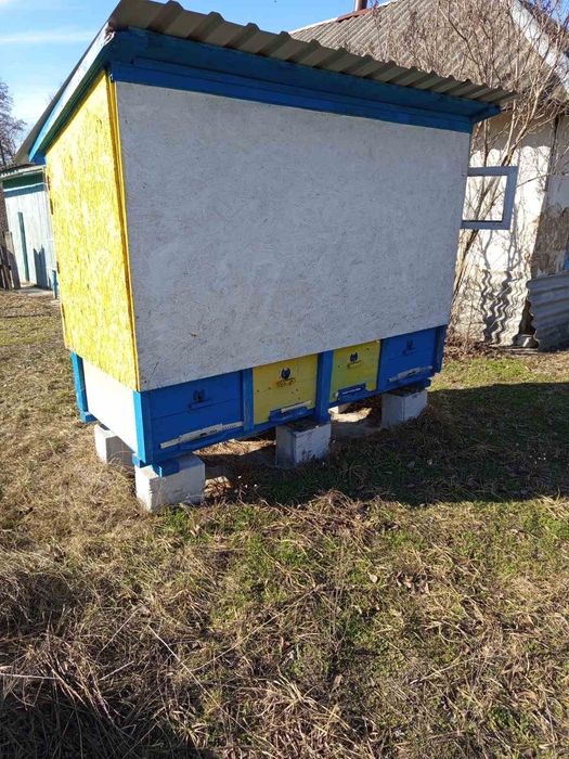 Продаю пасіку 15 сімей. 25 вуликів  і все обладнення.