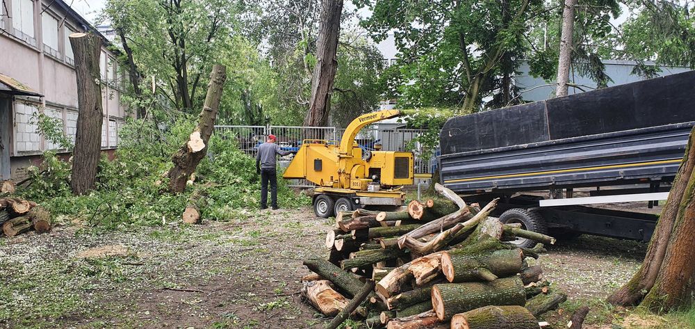 Wycinka Drzew Rębakowanie Gałęzi Podniośnik Koparka