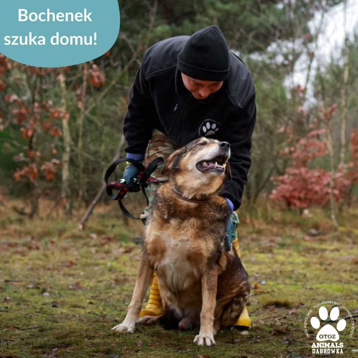Bochenek szuka cierpliwego opiekuna!