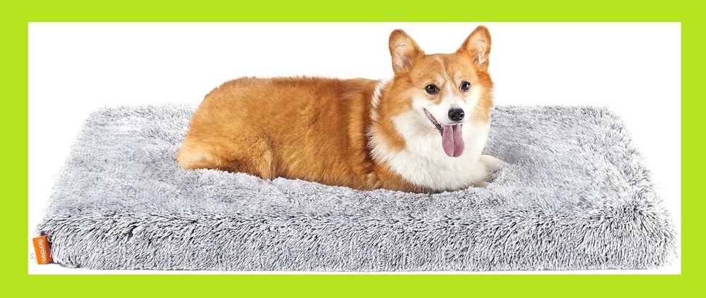 LEGOWISKO Ortopedyczne Poduszka Dla Psa Kota