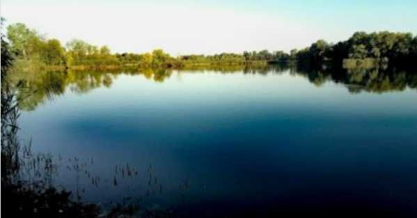 Земельна ділянка 6 соток — Камплиця, біля Задонецького водосховища